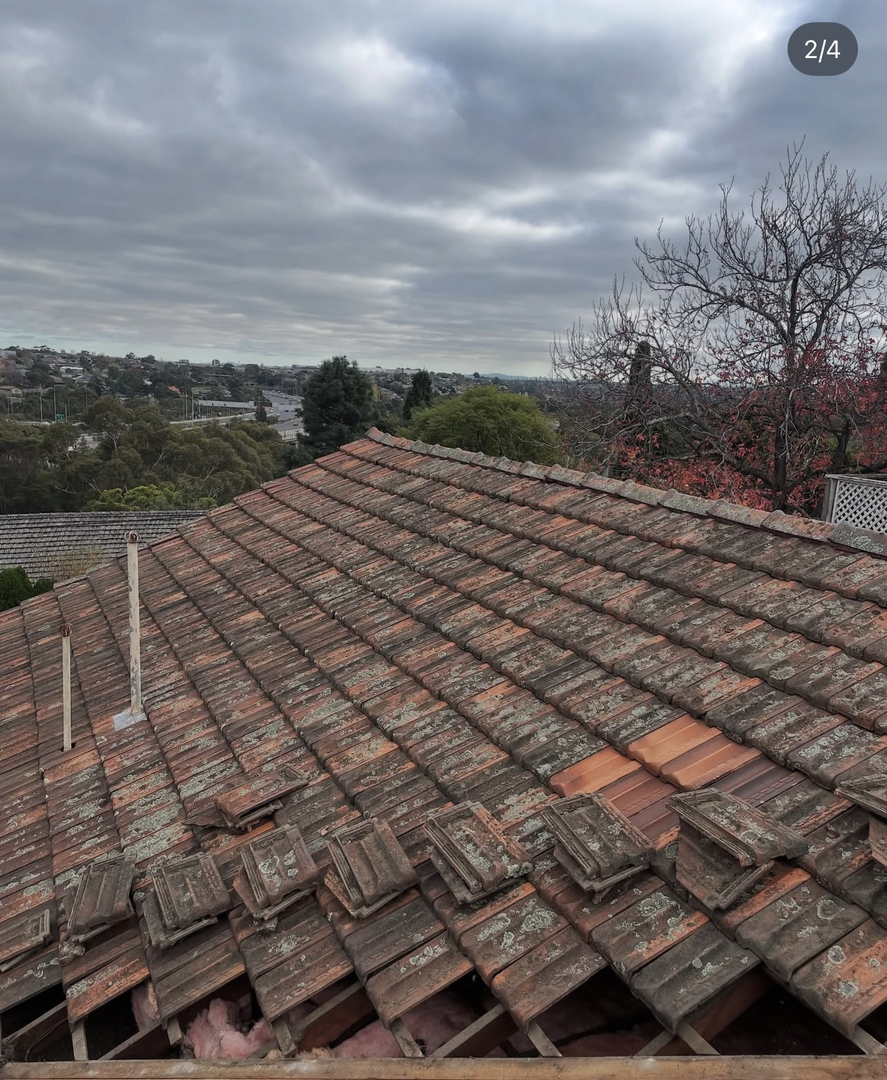 Calico Roof 1