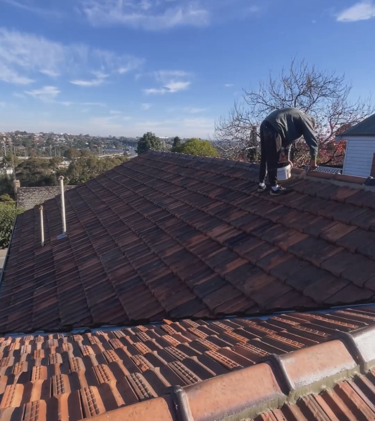 Calico Roof 2