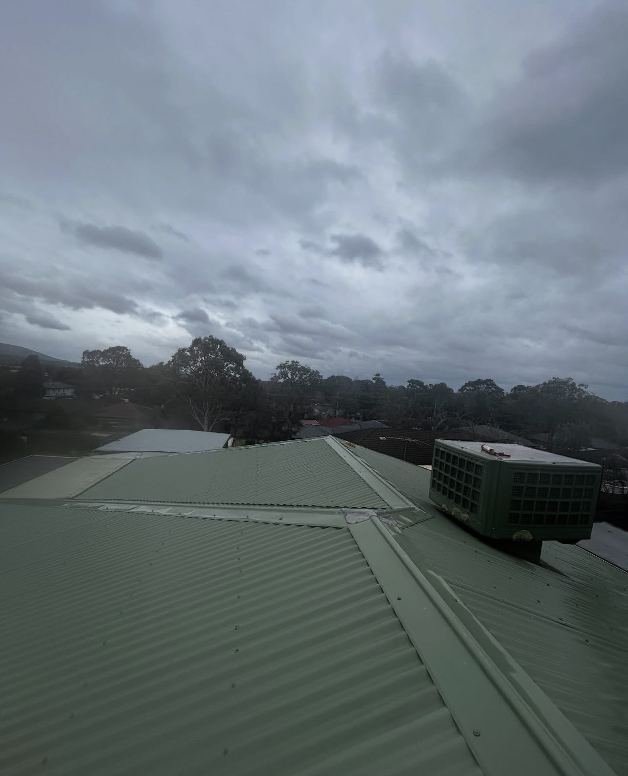 Green Roof 2