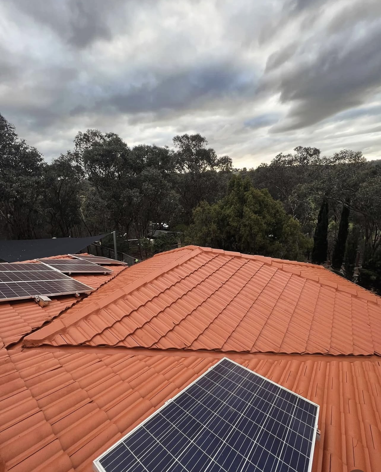 Orange Roof 1