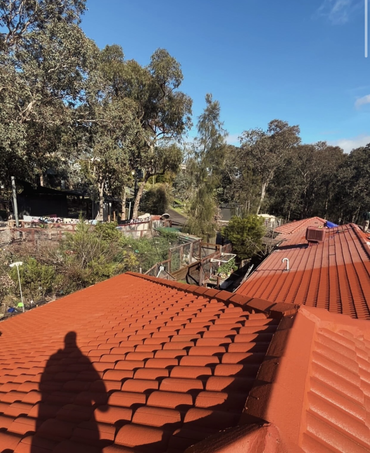Orange Roof 2